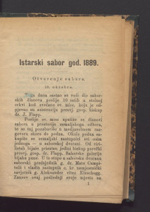 Istarski sabor : god. 1889.