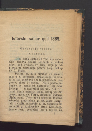 Istarski sabor. 