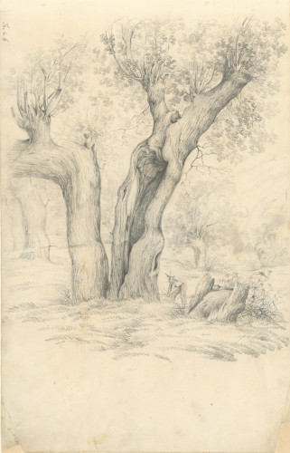 [Iz bilježnice crteža] / [Hugo Conrad von Hötzendorf].