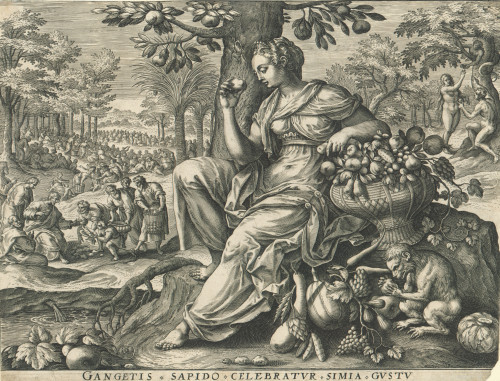 Gangetis Sapido. / [Adriaen Collaert prema Martin de Vosu].