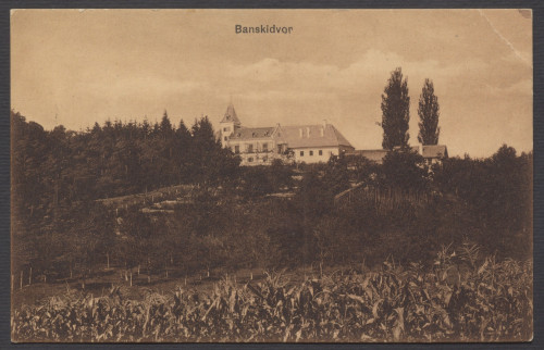 Banskidvor