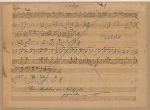 Das Mädchen von Neidpath  / von Walter Scott. Galopp de Marienheim / [Ferdo Livadić]