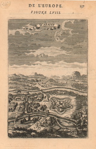 Waradin : de L'Europe : figure LVIII / Alain Manesson Mallet.